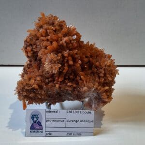 creedite