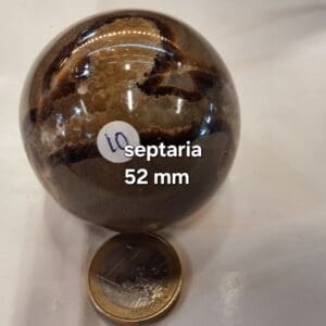 septaria