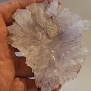 fleur d'amethyste