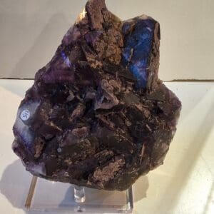 fluorine violette