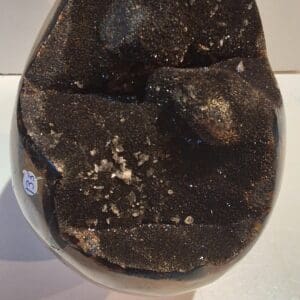 Oeuf septaria sauvage