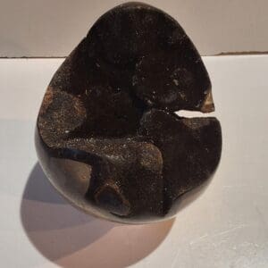 Oeuf septaria sauvage