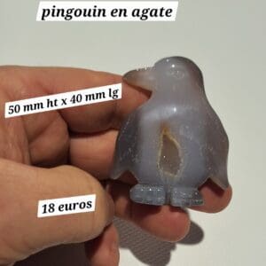 Agate pingouin