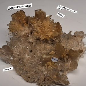 Gypse
