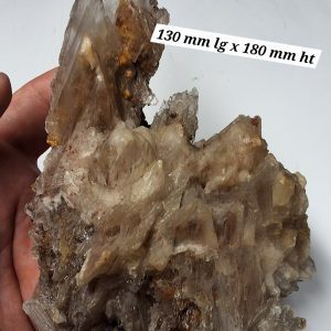 Gypse