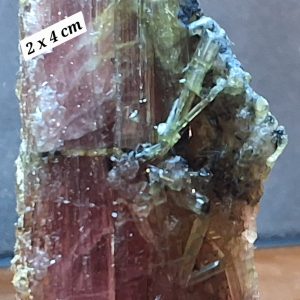 Tourmaline rose et verte
