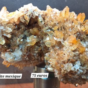 Creedite