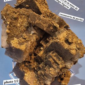 Fluorine du Niger
